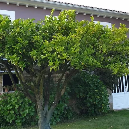 Prázdninový dům Casa Do Maruxo Pontevedra