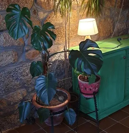 Casa Do Maruxo פונטה-ודרה