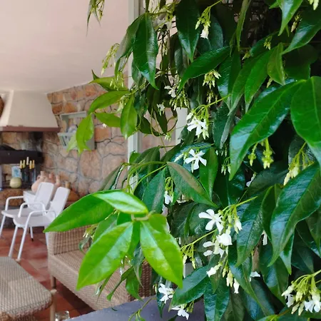 Casa Do Maruxo Holiday home *